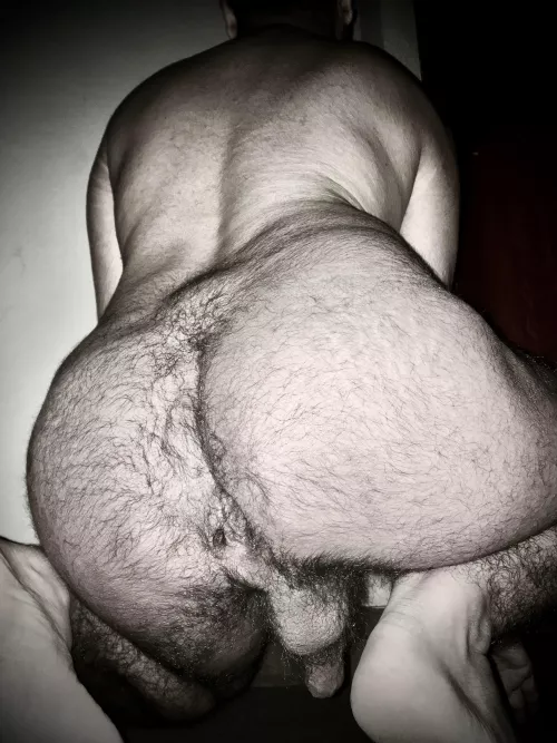 known for their hirsute rears by agnosticnudes