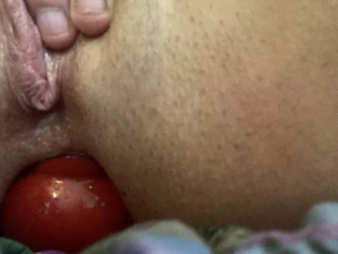 Kong toy? I’m doing my best by _lil_one_