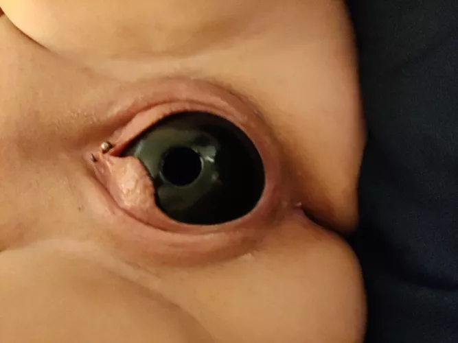 Kongs can be for your other pets, too. by nbxtoss