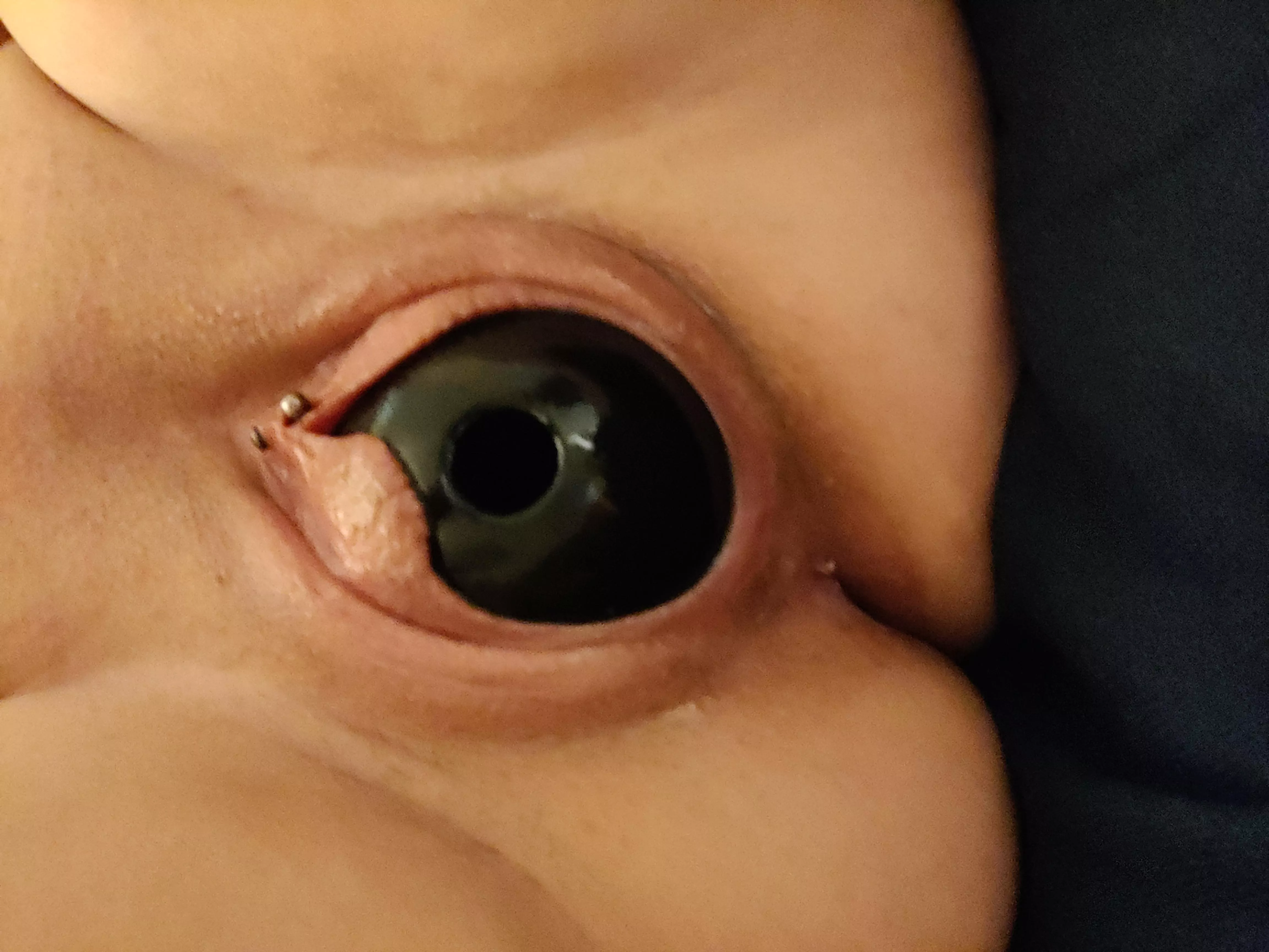 Kongs can be for your other pets, too. posted by nbxtoss