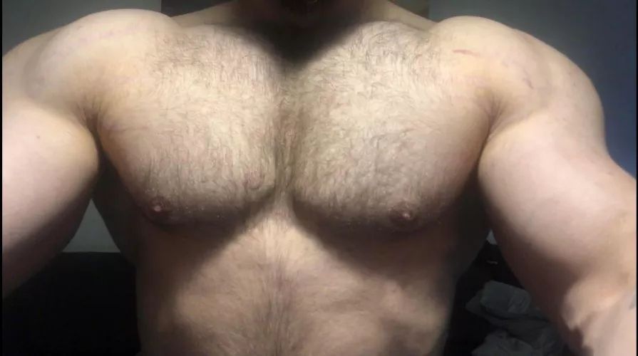 Konyflex by Academic_Tone_5966