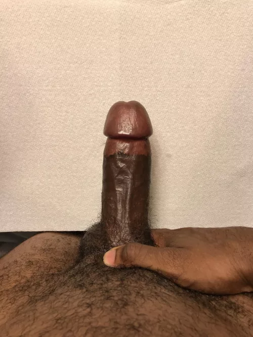 Laid out for you to enjoy by matt12245