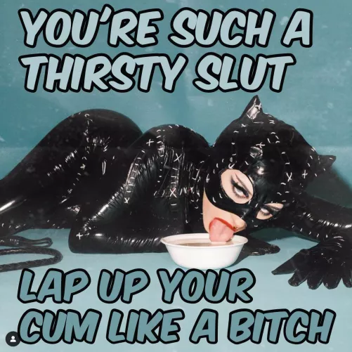 Lap it up by Crafty-Diet-1274