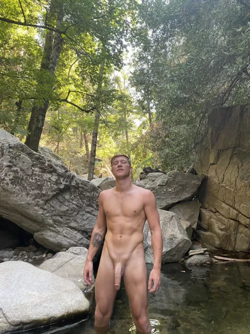 Large hot cock in nature. by deepdrilling80