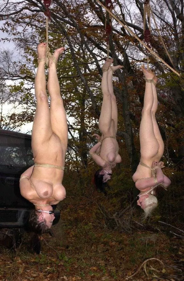 Last minute captures! These three were unfortunate enough to be witnesses to the “restocking of supplies” for our operations. They’ve just become the latest hauls to our merchandises! posted by [deleted]