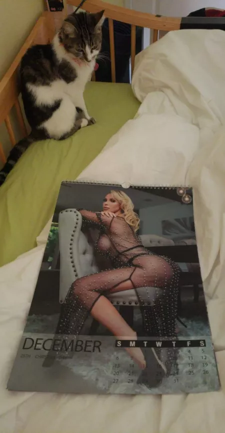 Last month of dirty blonde calendar. February is my fav cover by Paperbag1124