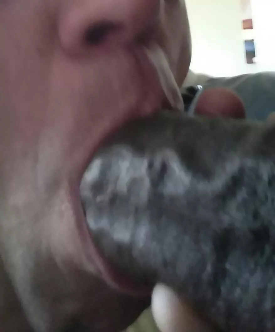 Last Night's Dessert! 🤤🤤👄💦 posted by ShiftyMcNasty1976