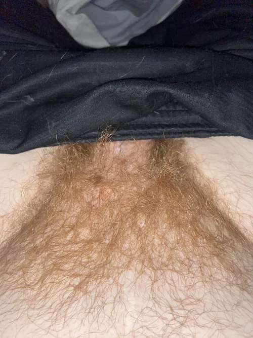 Late bloomer here from Alabama. Older men DM. by RedDevon6