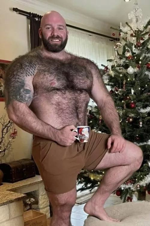 Late Christmas gift by rainbowphase