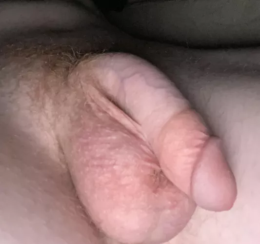 Late night softie by Willyweiner