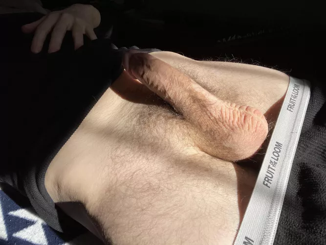 Layin it out there by c_lion_69