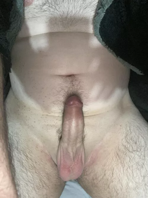 Laying down waiting 😛 by JellySteed