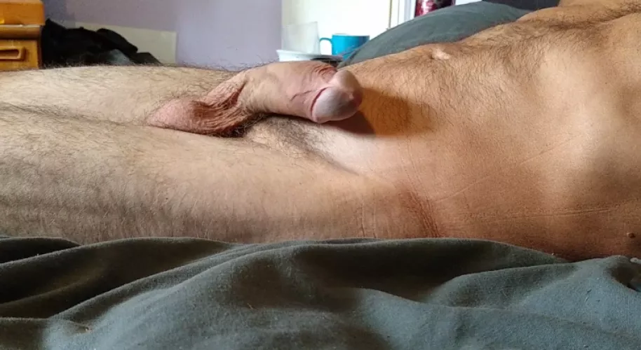 Laying in wait by AntiqueAnimator605