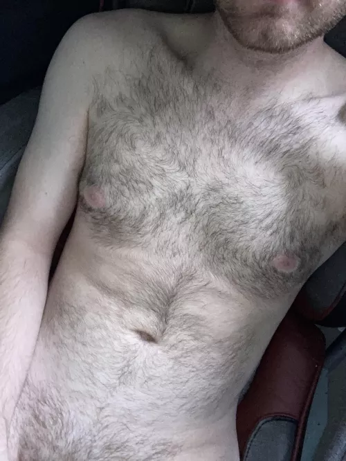 Lazy afternoons could use some company by cbc7118