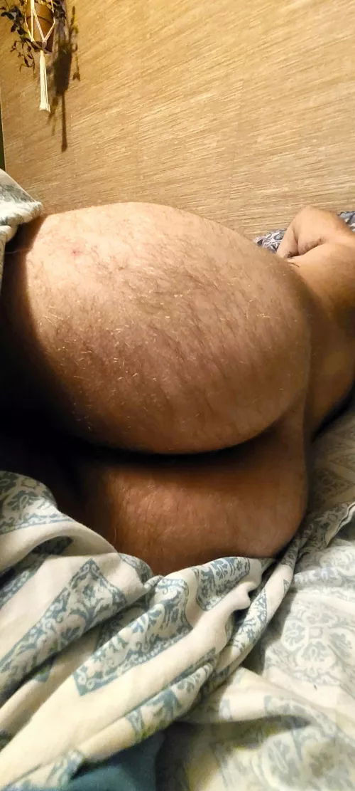 Lazy arse by Logan_Luke_OF