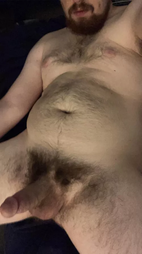 Lazy bear 🐻 by throwaway_bearboi