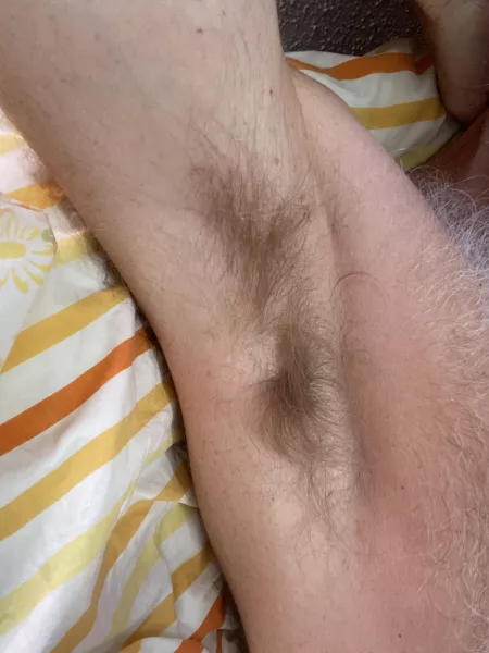 Lazy bed pit by ectoscruff