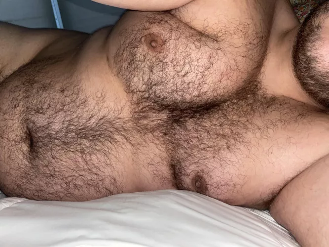 Lazy day by Hairbair12