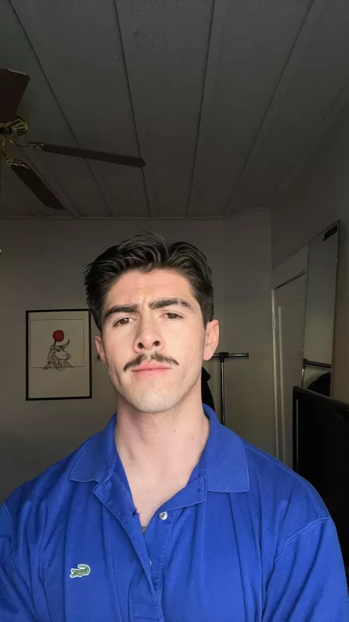 Lazy day by Natural-Praline8790