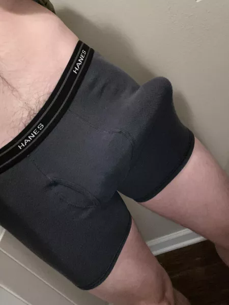 Lazy Sunday by RedRig34