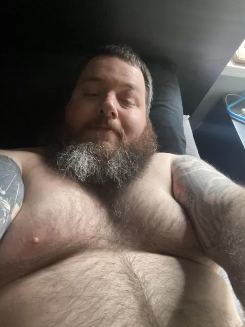 Lazy Sunday by throwingshappes