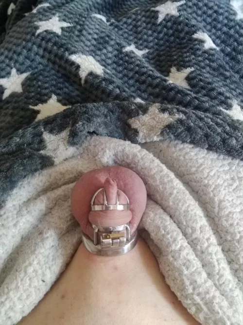 Lazy Sunday... I'm always so horny since I glued my lock shut. Need someone to motivate me by Worried_Background97