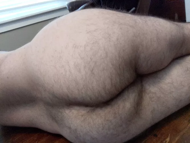 Lazy Sunday by Bizy_Bear