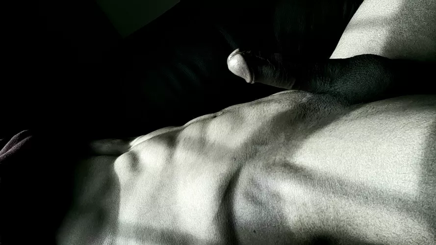 Lazy, winter afternoons. by jkspa2020