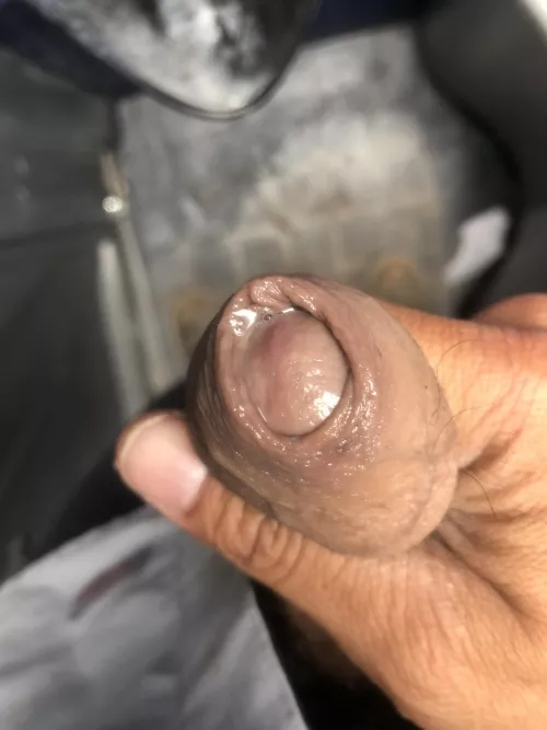 Leaking all over today by saltycockfl