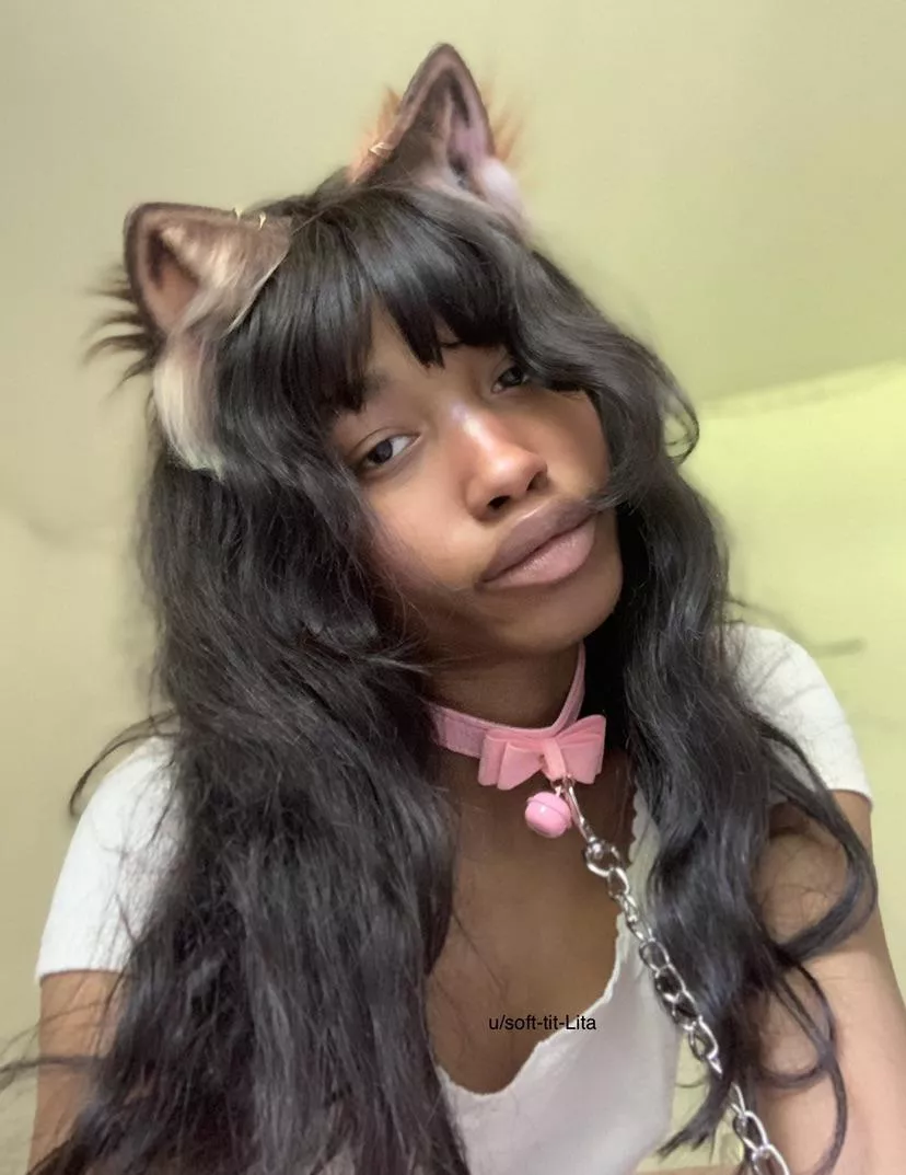 leash trained kitty 💗🐈‍⬛ posted by soft-tit-lita