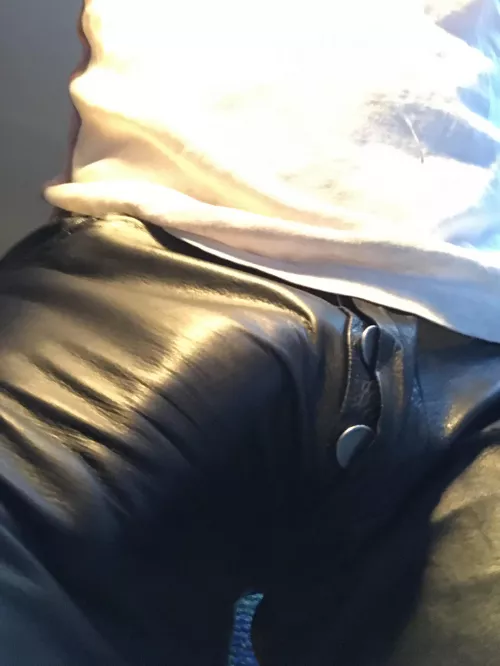 Leather bulge by Typical_Marketing_23
