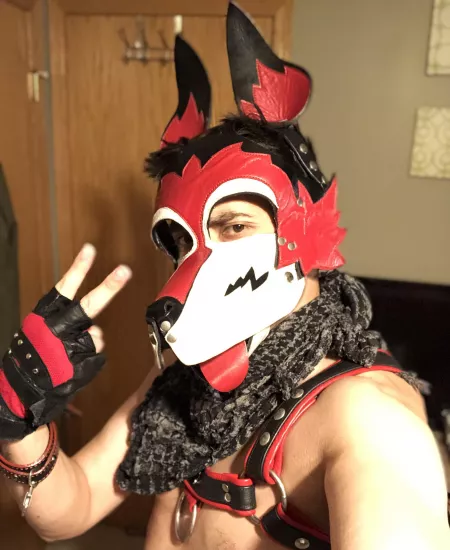 Leather Wolf by Ezo_K