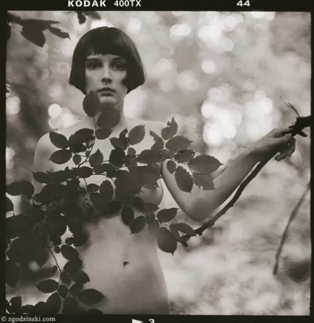 leaves by zherkamiolos