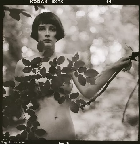 leaves posted by zherkamiolos