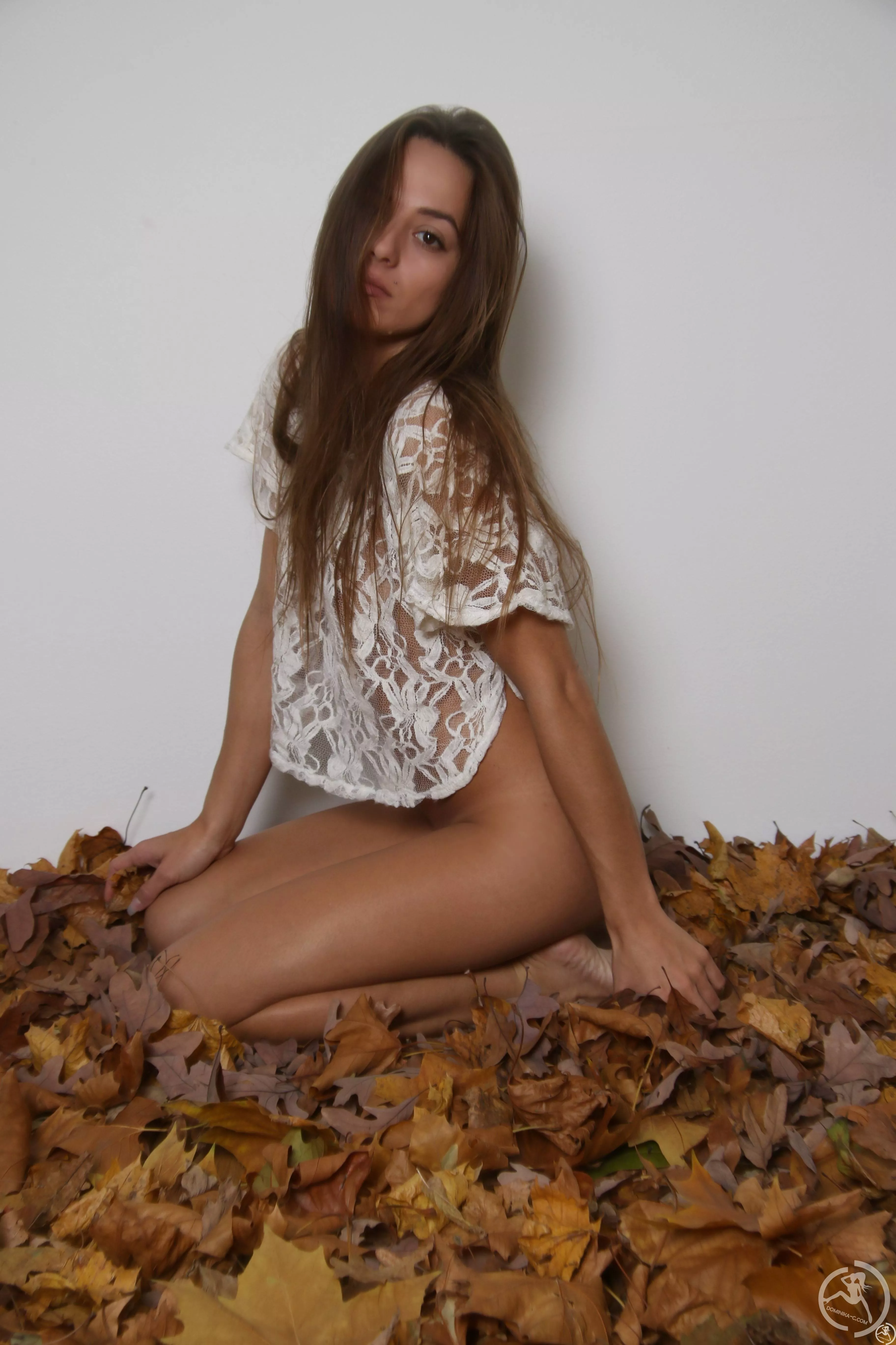 Leaves posted by zeekra