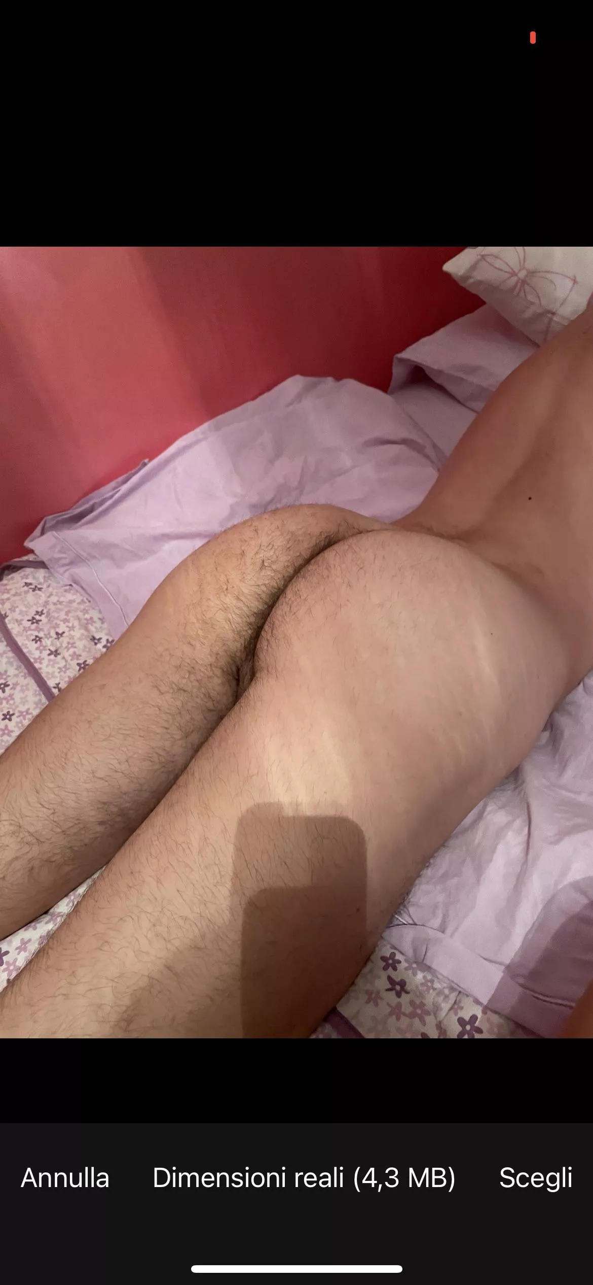 Lecken my ass posted by Jonny_hot