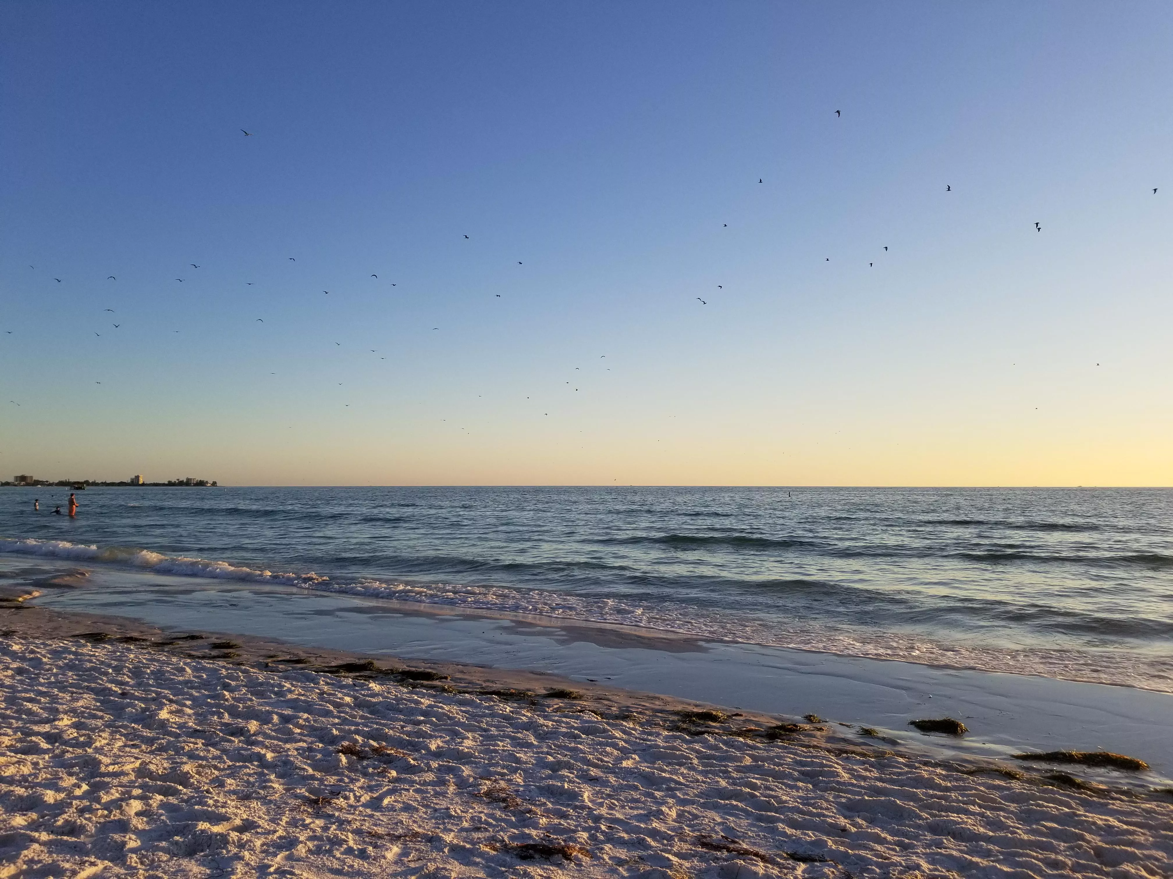 Ledo Beach, FL posted by Crisbel86