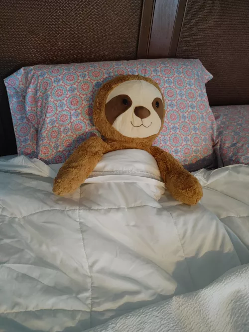 Left my stuffie in the hotel to relax while Daddy and I go adventuring! by Daddys_little_dolly