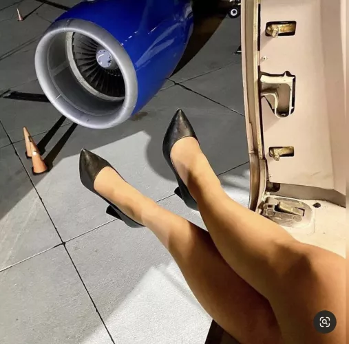 Legs of the day by arrayoutofbounds