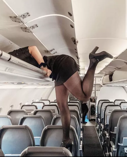 Legs of the day by arrayoutofbounds