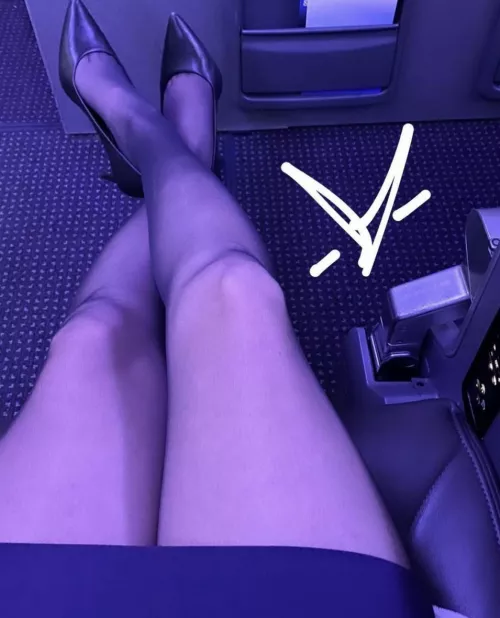 Legs of the day by arrayoutofbounds