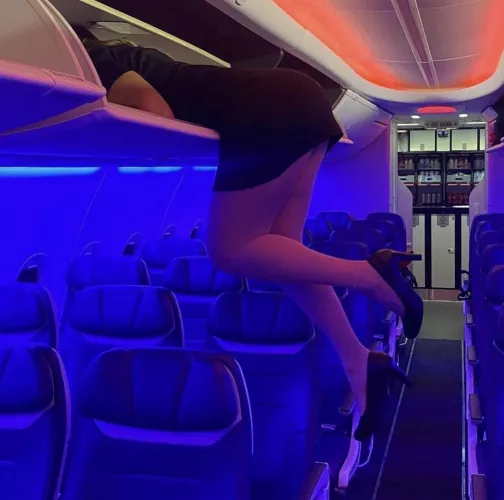 Legs of the day by arrayoutofbounds