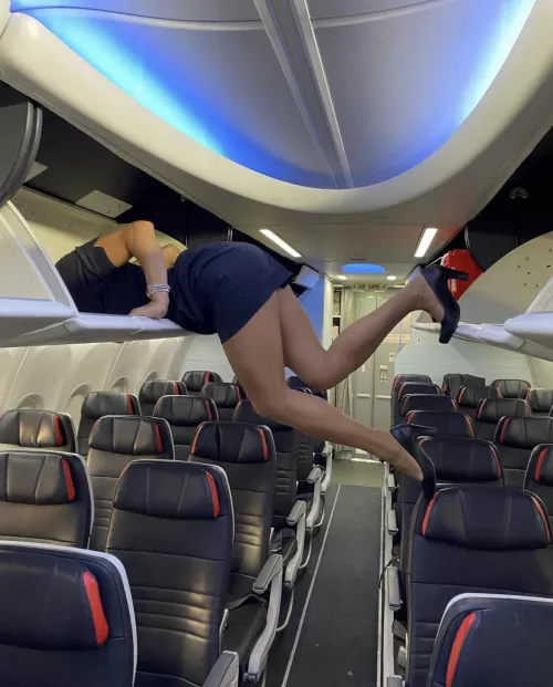 Legs of the day by arrayoutofbounds