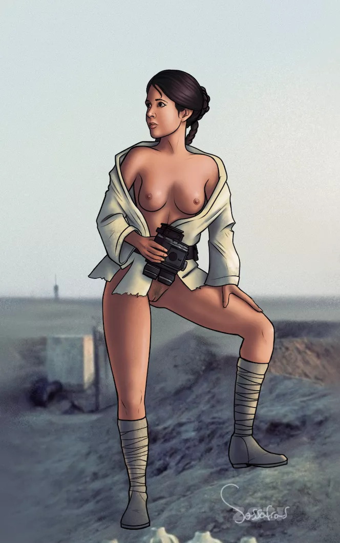 Leia Skywalker - Switched at Birth (Sassafras) posted by Sassafras34Arts