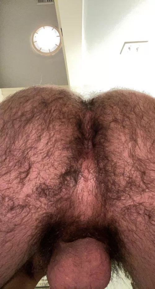 Lemme sit on you;) by AdStunning1001