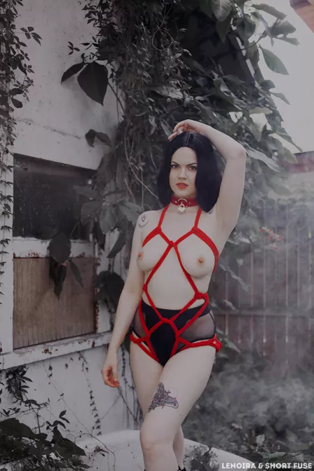 Lenoira in shibari by shortfusepinups