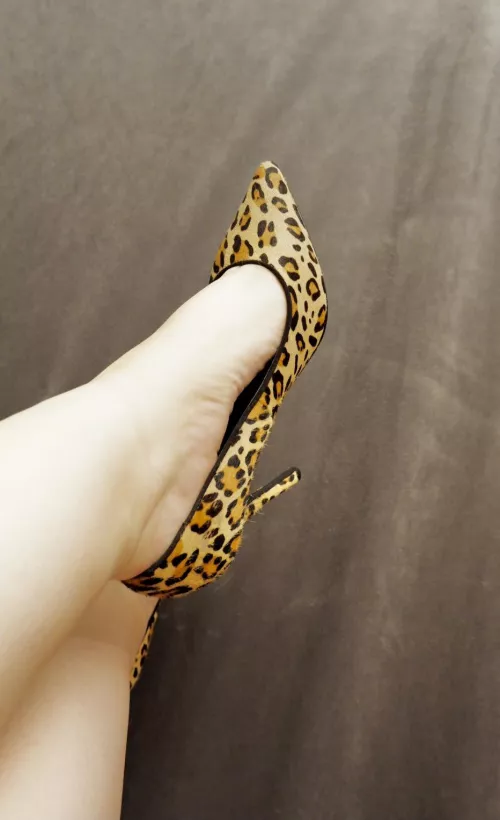 Leopard print everyday 😝 by RosalinaSoler