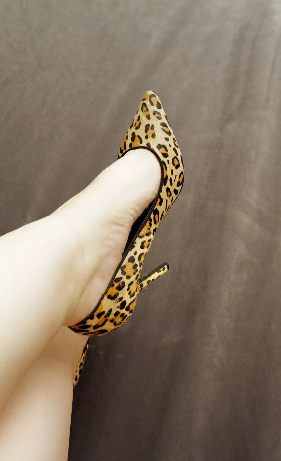 Leopard print everyday 😝 posted by RosalinaSoler