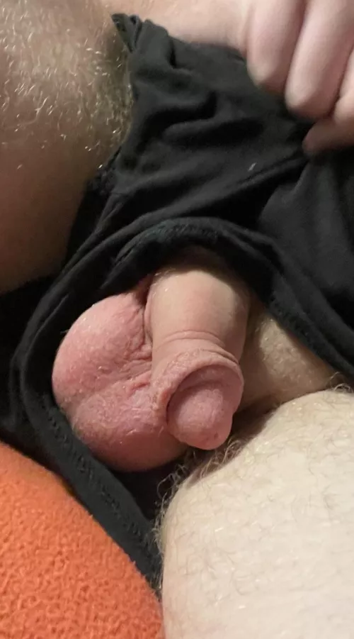 Let it all hang out by bigpops1