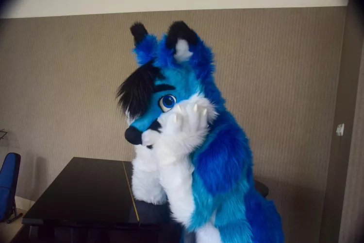 Let me know, have you ever had a furry-themed dream? If so, describe! by spiritofniter